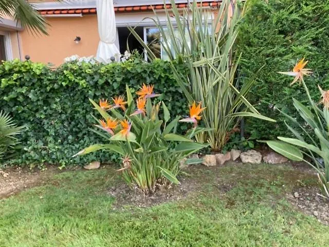 In Sur Village Théoule-sur-Mer